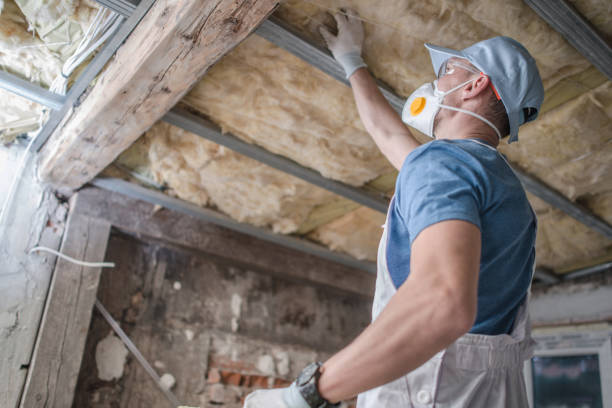 Best Insulation Contractors for Homes  in USA